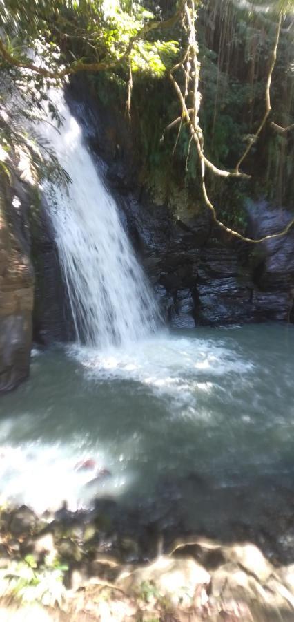 Hidayah homestay Kelimutu Bagian luar foto