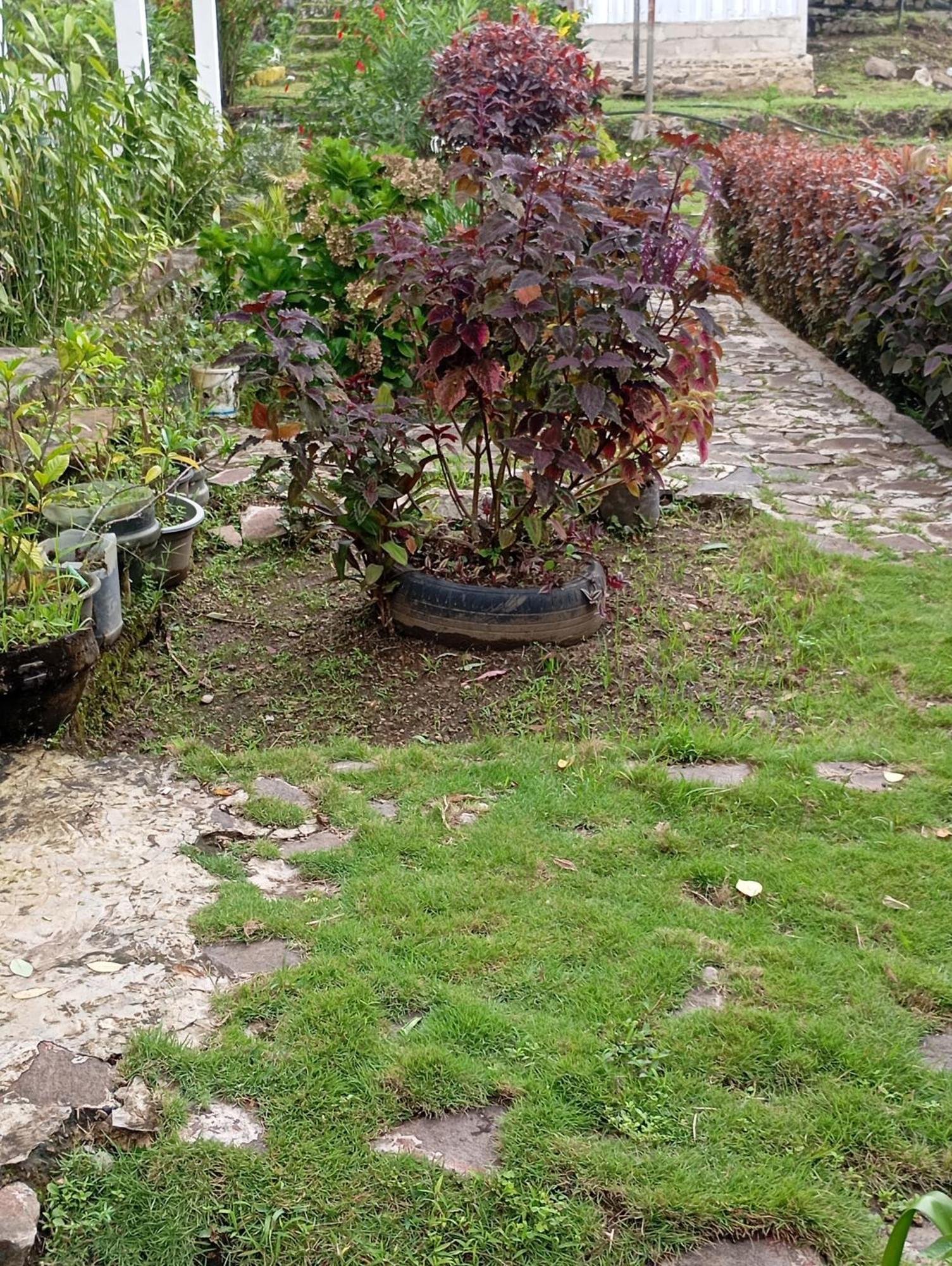 Hidayah homestay Kelimutu Bagian luar foto