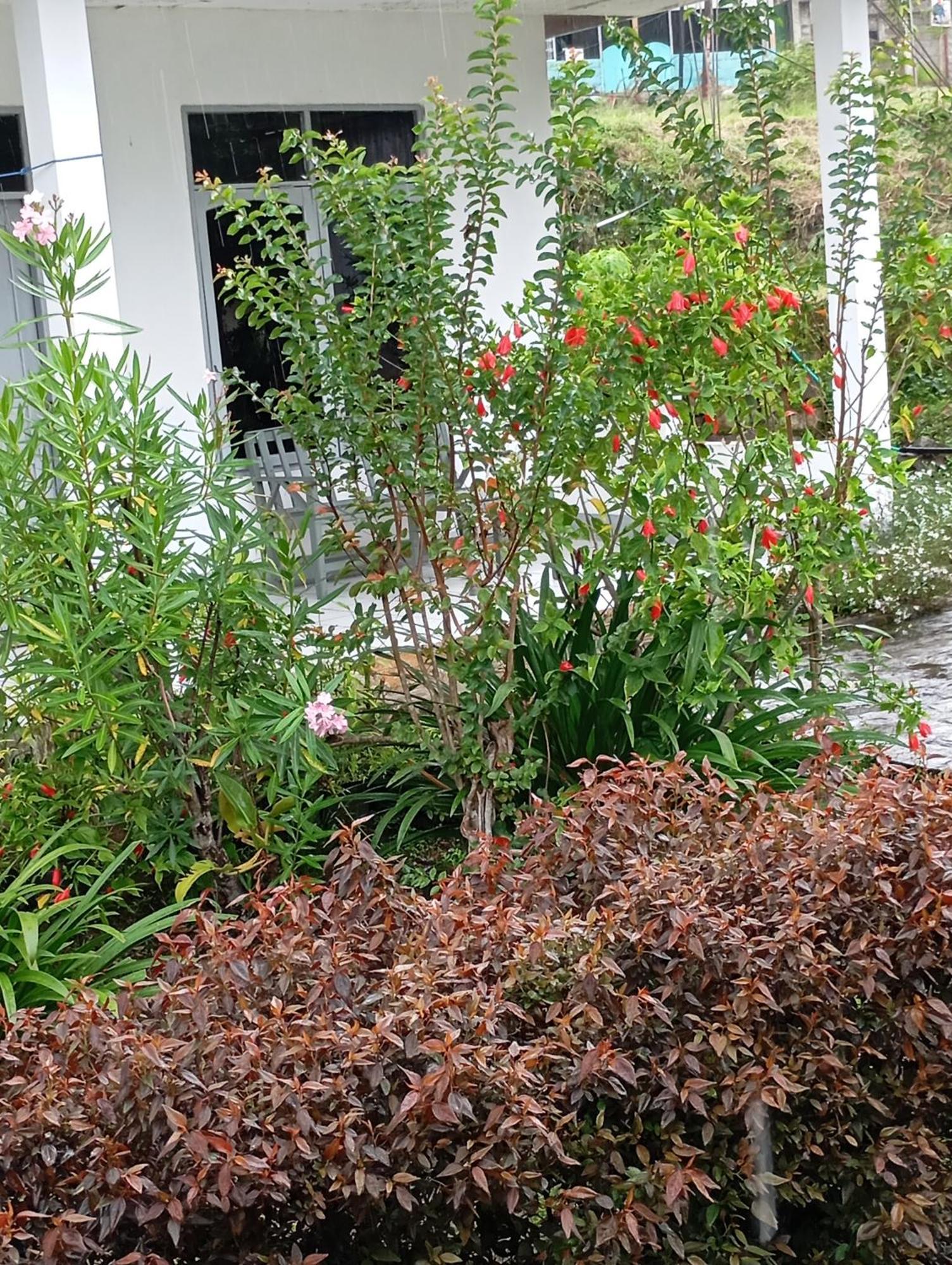 Hidayah homestay Kelimutu Bagian luar foto